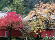 Herbst in Nikko