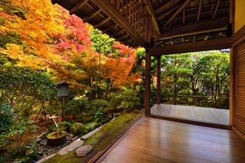 Japan Gartenreise im Herbst – leuchtende Herbstlaubfärbung in Kyoto